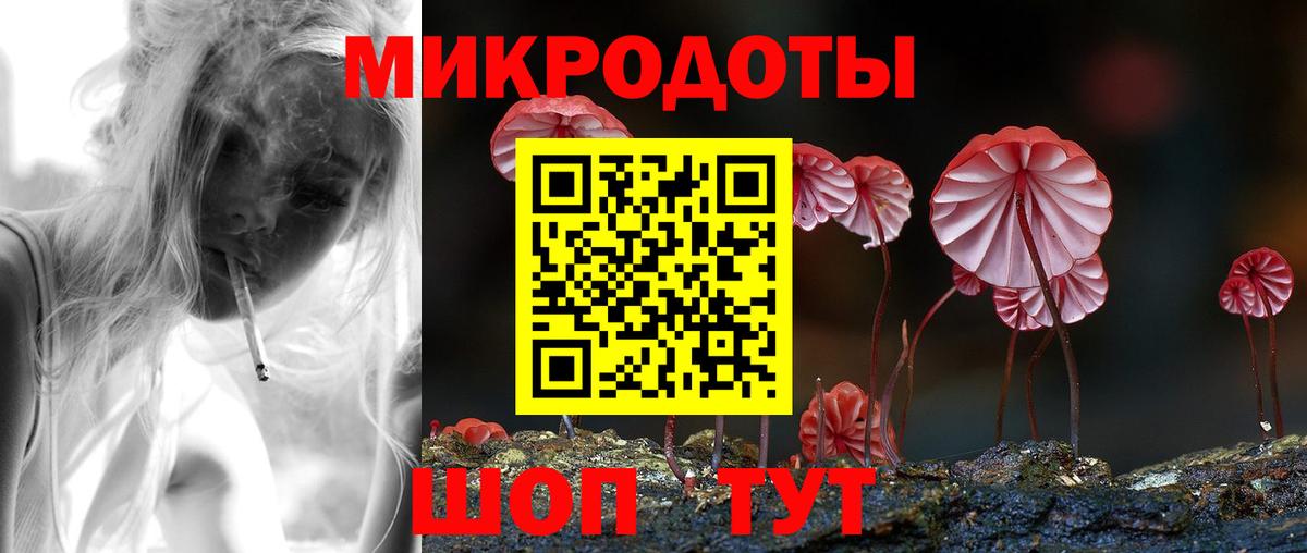 Галлюциногенные грибы Psilocybine cubensis  Вход с VPN  Гусиноозёрск 