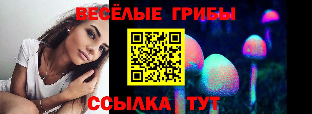 Псилоцибиновые грибы Magic Shrooms Гусиноозёрск